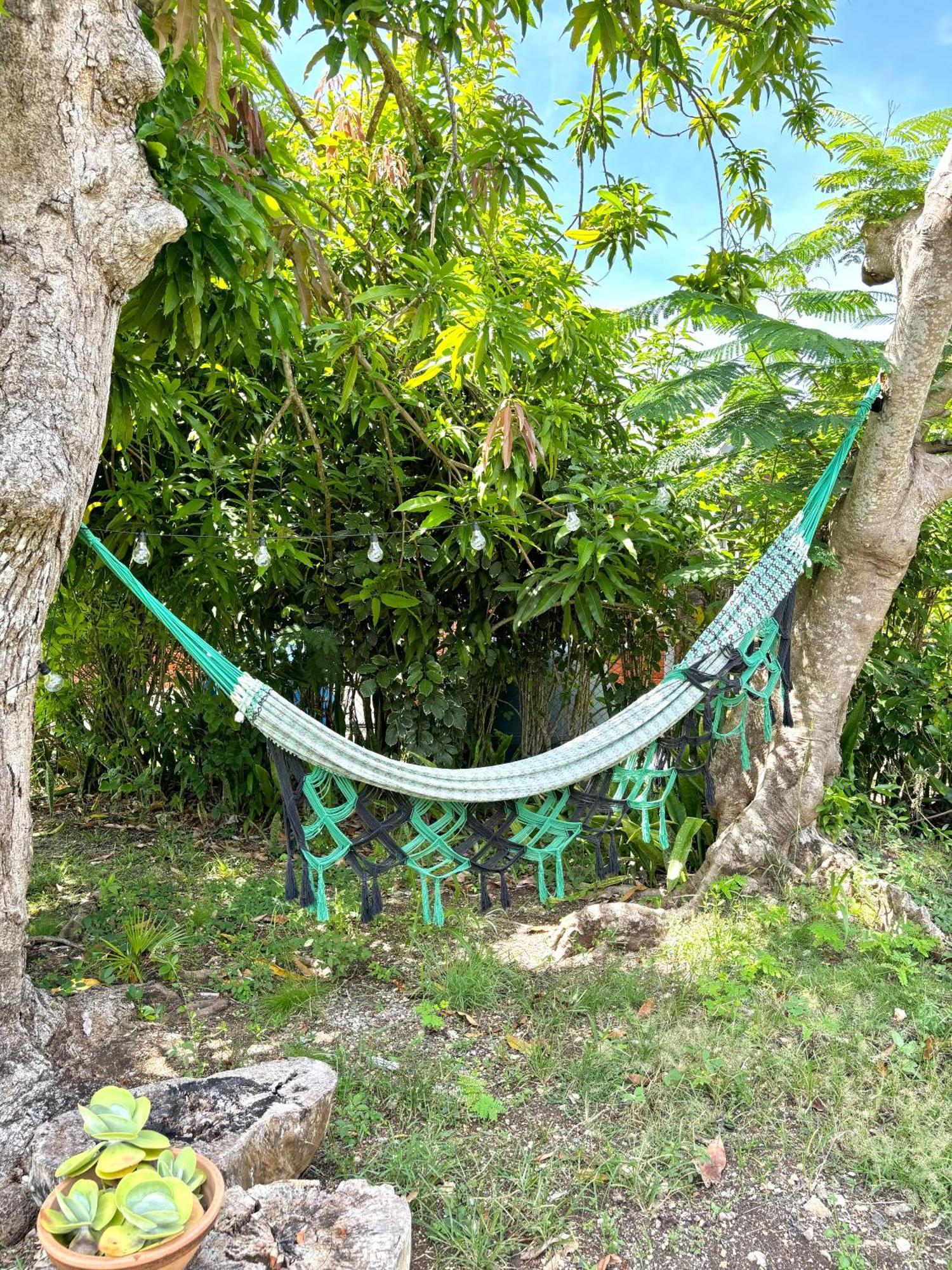 La Maison Creole Du Flamboyant - Proche Des Plages Anse-Bertrand Exteriér fotografie
